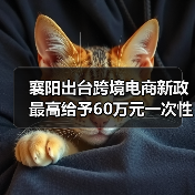 襄阳出台跨境电商新政 最高给予60万元一次性奖励