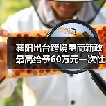 襄阳出台跨境电商新政 最高给予60万元一次性奖励
