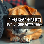 慧联优聘
