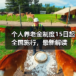 个人养老金制度15日起全国施行，最新解读