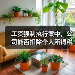 工资强制执行案中,公司能否扣除个人所得税? 工资强制执行案中,公司能否扣除个人所得税?