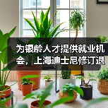 为银龄人才提供就业机会，上海迪士尼修订退休政策