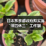 日本试行四天工作制 助力育儿平衡 日本试行四天工作制 助力育儿平衡