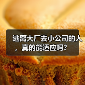 大厂人跳槽小公司挑战与机遇:职场转型关键抉择 大厂人跳槽小公司挑战与机遇:职场转型关键抉择