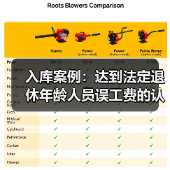 法定退休年龄误工费赔偿标准案例 法定退休年龄误工费赔偿标准案例