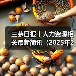 三茅日报丨人力资源相关最新简讯（2025年2月11日）