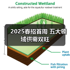 2025春招首周 五大领域供需双旺