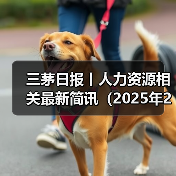 国内外人才政策加速AI布局,高薪引才与科技变革同步推进 国内外人才政策加速AI布局,高薪引才与科技变革同步推进