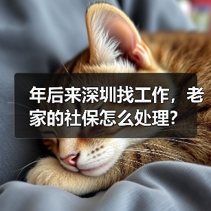 社保转移与缴费问题解答,换工作必看指南 社保转移与缴费问题解答,换工作必看指南
