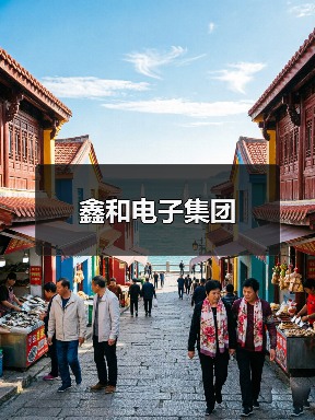 鑫和电子集团