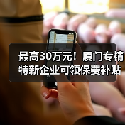 厦门专精特新企业保险补贴最高30万 厦门专精特新企业保险补贴最高30万