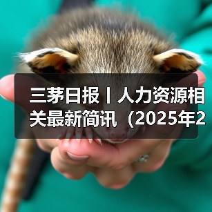 AI引领职场变革 企业加速转型与创新 AI引领职场变革 企业加速转型与创新