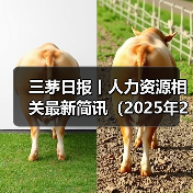 企业裁员潮与政策新动向 企业裁员潮与政策新动向