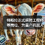 特斯拉招聘多岗位备战Optimus机器人量产 特斯拉招聘多岗位备战Optimus机器人量产