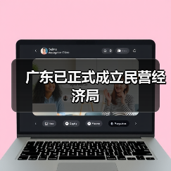 广东成立民营经济局助推高质量发展,民营企业占比超九成 广东成立民营经济局助推高质量发展,民营企业占比超九成