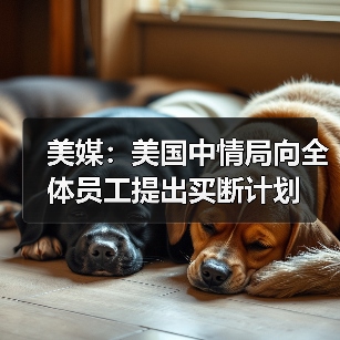 美媒:美国中情局向全体员工提出买断计划 美媒:美国中情局向全体员工提出买断计划