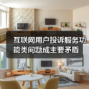 互联网用户投诉服务功能类问题成主要矛盾 互联网用户投诉服务功能类问题成主要矛盾