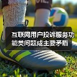 互联网用户投诉服务功能类问题成主要矛盾 互联网用户投诉服务功能类问题成主要矛盾