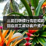 三菱日联银行高管减薪回应员工盗窃客户资产丑闻 三菱日联银行高管减薪回应员工盗窃客户资产丑闻