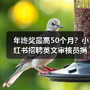 年终奖最高50个月?小红书招聘英文审核员揭秘职场新政 年终奖最高50个月?小红书招聘英文审核员揭秘职场新政