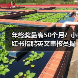 年终奖最高50个月?小红书招聘英文审核员揭秘职场新政 年终奖最高50个月?小红书招聘英文审核员揭秘职场新政