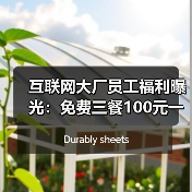 互联网大厂员工福利曝光:免费三餐100元一天,网友羡慕不已 互联网大厂员工福利曝光:免费三餐100元一天,网友羡慕不已