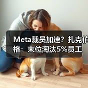 Meta裁员加速？扎克伯格：末位淘汰5%员工