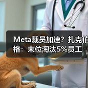 Meta裁员加速？扎克伯格：末位淘汰5%员工
