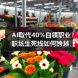 AI取代40%白领职业？职场生死线如何跨越