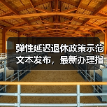 弹性延迟退休政策示范文本发布，最新办理指南详解