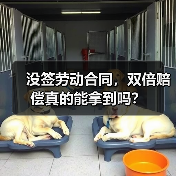 没签劳动合同，双倍赔偿真的能拿到吗？