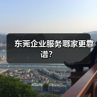 东莞企业服务哪家更靠谱？