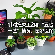 针对拖欠工资和“五险一金”情况,国家医保局有要求 针对拖欠工资和“五险一金”情况,国家医保局有要求