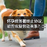 怀孕后签署终止协议，能否恢复劳动关系？二审判决引争议