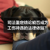 司法鉴定结论能否成为工伤待遇的法律依据? 司法鉴定结论能否成为工伤待遇的法律依据?