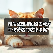 司法鉴定结论能否成为工伤待遇的法律依据? 司法鉴定结论能否成为工伤待遇的法律依据?