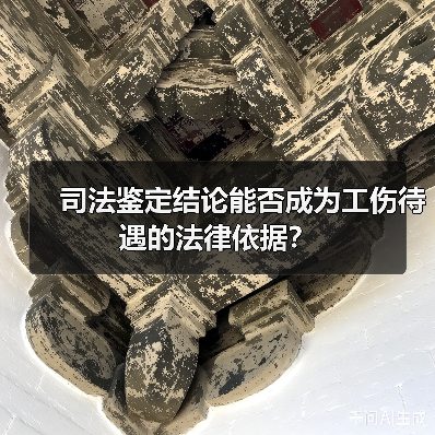 司法鉴定结论能否成为工伤待遇的法律依据? 司法鉴定结论能否成为工伤待遇的法律依据?