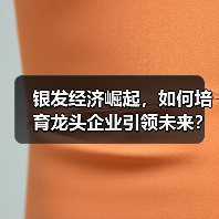 银发经济崛起,如何培育龙头企业引领未来? 银发经济崛起,如何培育龙头企业引领未来?