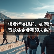 银发经济崛起,如何培育龙头企业引领未来? 银发经济崛起,如何培育龙头企业引领未来?