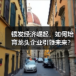银发经济崛起,如何培育龙头企业引领未来? 银发经济崛起,如何培育龙头企业引领未来?
