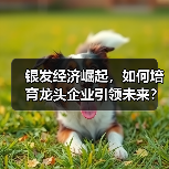 银发经济崛起,如何培育龙头企业引领未来? 银发经济崛起,如何培育龙头企业引领未来?