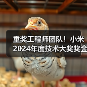 重奖工程师团队!小米2024年度技术大奖奖金升至千万 重奖工程师团队!小米2024年度技术大奖奖金升至千万