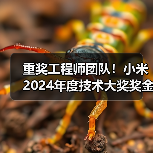 重奖工程师团队!小米2024年度技术大奖奖金升至千万 重奖工程师团队!小米2024年度技术大奖奖金升至千万