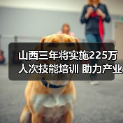 山西三年将实施225万人次技能培训 助力产业升级与就业增收 山西三年将实施225万人次技能培训 助力产业升级与就业增收