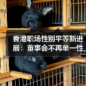 香港职场性别平等有突破?2024报告揭示关键进展-玄熵慧联优聘 香港职场性别平等有突破?2024报告揭示关键进展-玄熵慧联优聘