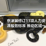 京津冀修订11项人力资源服务标准 推动区域一体化进程 京津冀修订11项人力资源服务标准 推动区域一体化进程