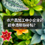 农产品加工中小企业还能申请哪些补贴? 农产品加工中小企业还能申请哪些补贴?
