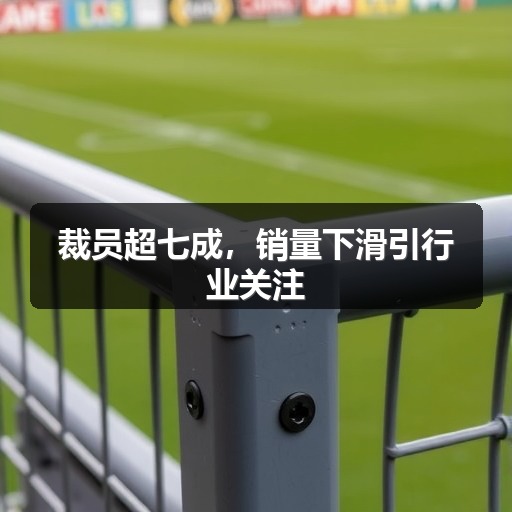 裁员超七成，销量下滑引行业关注
