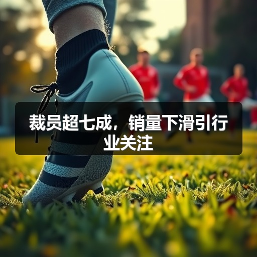 裁员超七成，销量下滑引行业关注