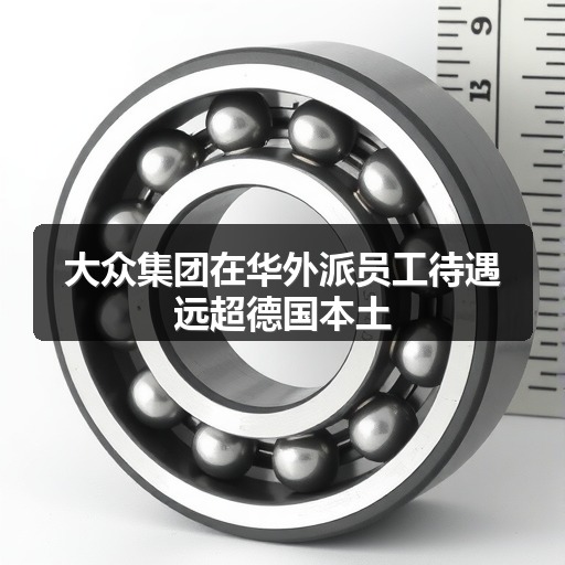 大众集团在华外派员工待遇远超德国本土